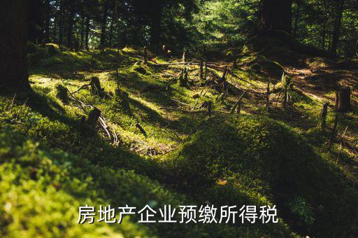 房地產(chǎn)預(yù)繳是什么意思，房價預(yù)交1萬抵2萬是什么意思