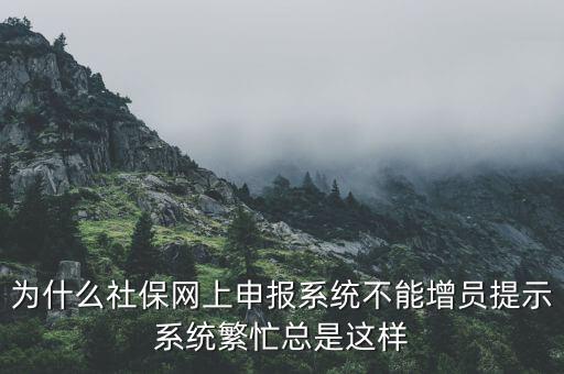 為什么社保申報后不通過，2015年9月21號網(wǎng)上申報社保進不去怎么回事