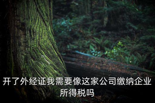 開了外經證我需要像這家公司繳納企業(yè)所得稅嗎