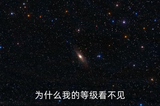為什么無法查詢到納稅等級(jí)，為什么我的等級(jí)看不見
