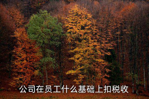 什么是稅收基礎(chǔ)工作，問個問題稅務(wù)基本建設(shè) 是個什么崗位