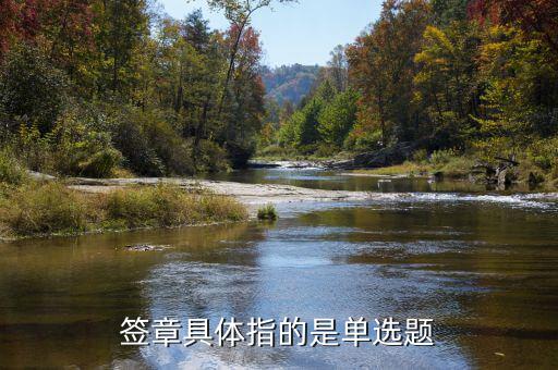 稅務(wù)主管簽章指什么意思，稅務(wù)章是什么