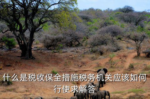 稅務(wù)局四個(gè)確保是什么，如何加強(qiáng)稅務(wù)稽查工作的幾點(diǎn)思考