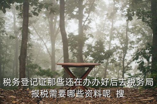新辦企業(yè)稅務(wù)局需要什么資料，稅務(wù)登記證那些還在辦辦好后去稅務(wù)局報稅需要哪些資料呢  搜