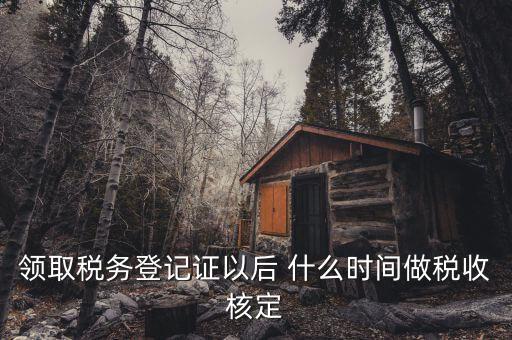 什么時(shí)候需要稅種核定，新注冊(cè)企業(yè)什么時(shí)候要申請(qǐng)稅種核定并購(gòu)買(mǎi)發(fā)票