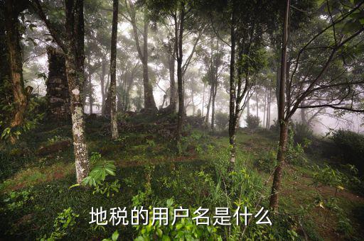 地稅的用戶(hù)名是什么
