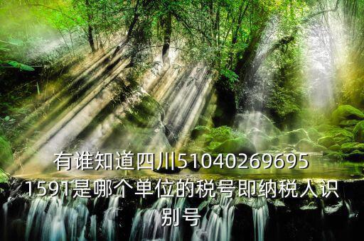 四川國稅廳帳號是什么，有誰知道四川510402696951591是哪個單位的稅號即納稅人識別號