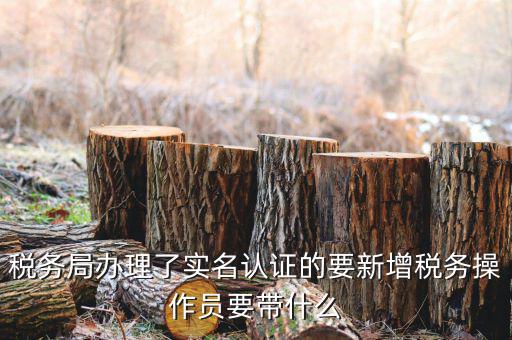 四川國稅局實名認(rèn)證需要什么資料，國稅發(fā)票認(rèn)證需要準(zhǔn)備那些資料 到大廳辦的時候工作人員叫我拿U盤