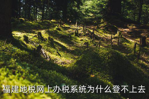 企業(yè)所得稅系統(tǒng)為什么登不上，福建地稅網(wǎng)上辦稅系統(tǒng)為什么登不上去