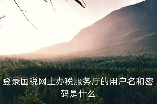 登錄國(guó)稅網(wǎng)上辦稅服務(wù)廳的用戶(hù)名和密碼是什么