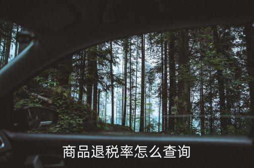用什么查出口退稅率，查詢(xún)出口退稅率