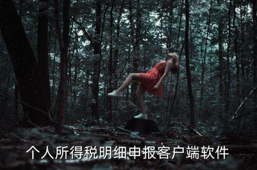 個人所得稅明細(xì)申報客戶端軟件