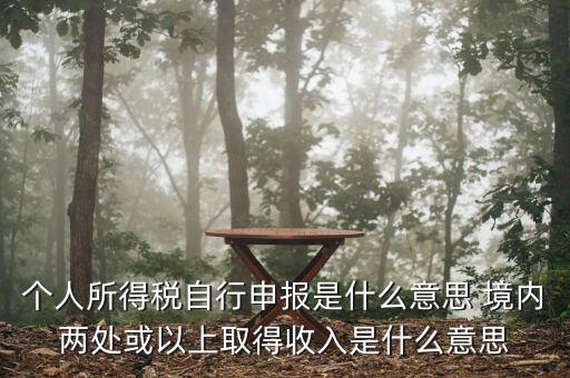 個人所得稅自行申報是什么意思 境內兩處或以上取得收入是什么意思