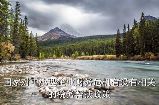 國(guó)家對(duì)中小型企業(yè)財(cái)務(wù)危機(jī)有沒有相關(guān)的稅務(wù)幫扶政策