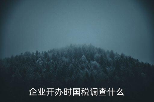 企業(yè)開辦時(shí)國稅調(diào)查什么
