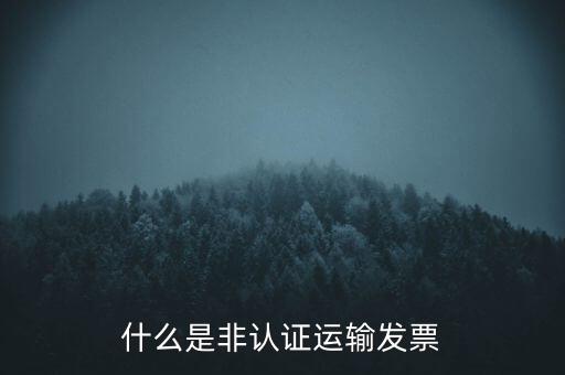 運(yùn)輸票是什么，運(yùn)輸發(fā)票是普通發(fā)票嗎