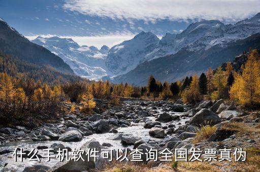什么app查發(fā)票真?zhèn)?，什么手機(jī)軟件可以查詢?nèi)珖?guó)發(fā)票真?zhèn)?/></a></span><span id=