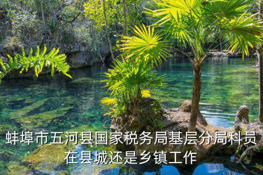 懷遠稅務局在什么地方，蚌埠市五河縣國家稅務局基層分局科員在縣城還是鄉(xiāng)鎮(zhèn)工作