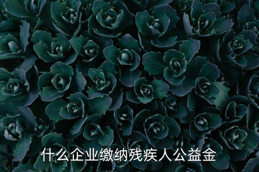 什么企業(yè)需申報殘疾人保障金，哪些單位應該繳納殘疾人保障基金