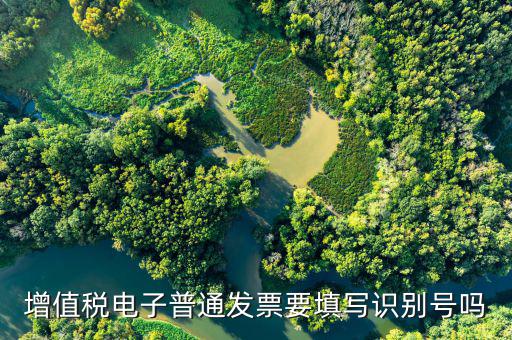 增值稅電子普通發(fā)票要填寫識(shí)別號(hào)嗎