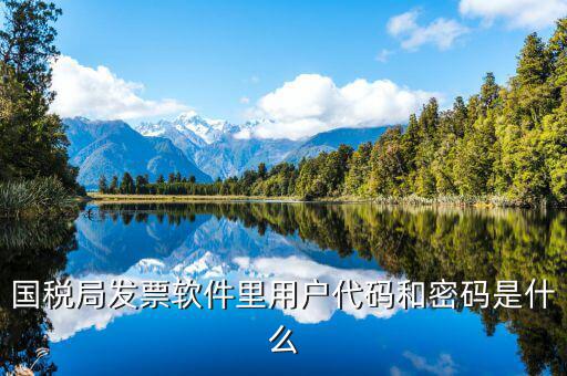 國(guó)稅用戶(hù)密碼是什么，你好我想問(wèn)你 一下 網(wǎng)上國(guó)稅的用戶(hù)名和密碼是什么
