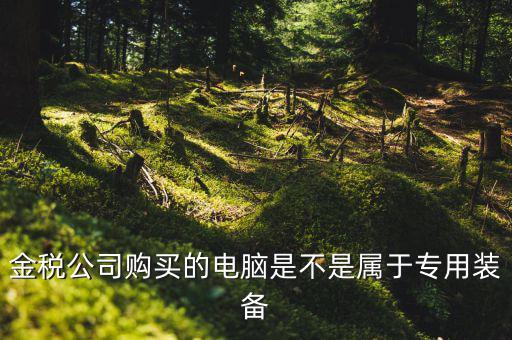 金稅設(shè)備什么時(shí)候買，金稅公司購買的電腦是不是屬于專用裝備