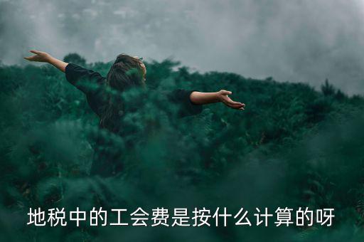 地稅代征的工會經費按什么計算，地稅中的工會費是按什么計算的呀