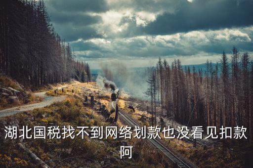 湖北省國稅局四個(gè)確保是什么，湖北國稅找不到網(wǎng)絡(luò)劃款也沒看見扣款阿