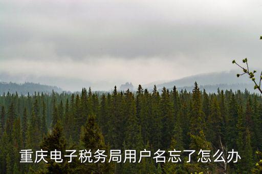重慶電子稅務(wù)局的網(wǎng)址是什么意思，重慶市國稅電子申報(bào)委托繳稅的網(wǎng)址