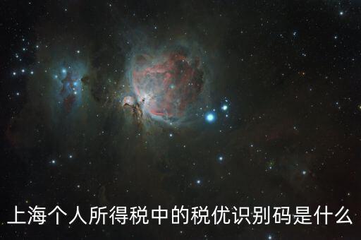 稅優(yōu)碼什么樣子，保險(xiǎn)稅優(yōu)識(shí)別碼是什么樣的