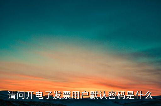 重慶國(guó)稅電子發(fā)票登錄密碼是什么意思，國(guó)稅局發(fā)票軟件里用戶代碼和密碼是什么