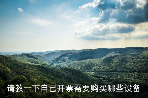 請(qǐng)教一下自己開票需要購(gòu)買哪些設(shè)備