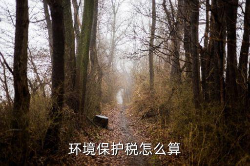 環(huán)保稅以什么為標(biāo)準(zhǔn)繳納，你認(rèn)為汽車環(huán)保稅應(yīng)該如何征收 具體點(diǎn) 謝謝