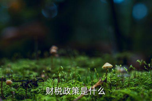 什么是稅收政策，我國的稅收政策是什么