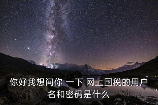 網(wǎng)上稅務(wù)辦理密碼是什么意思，國稅第一次網(wǎng)上申報的登陸密碼是什么