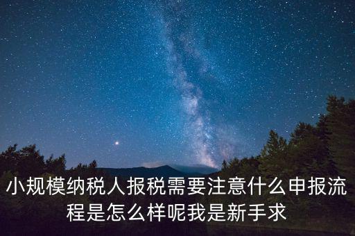 報(bào)稅需要注意什么手續(xù)，一般納稅人每個(gè)月怎么報(bào)稅報(bào)稅時(shí)要注意什么流程是怎么樣的