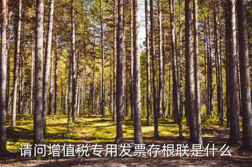 發(fā)票存根聯(lián)是什么，發(fā)票存根聯(lián)是按發(fā)票購領(lǐng)本上領(lǐng)購的本數(shù)裝訂還是25張裝訂一冊(cè)