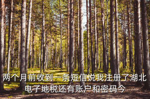 地稅什么時候會給電子稅務(wù)密碼，報地稅的時候登陸密碼每天有幾次輸入機(jī)會