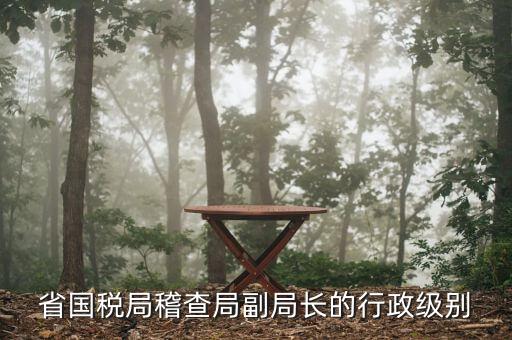 湖南稽查局長什么級別，湖南廣電局紀檢組長是什么級別