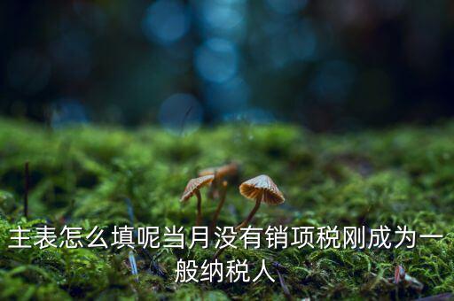 一般納稅人主表是什么意思，一般納稅人申報(bào)表主表的申明人必須輸入是什么意思