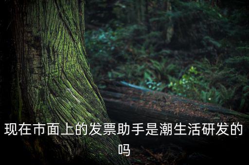 國稅發(fā)票助手是干什么的，現(xiàn)在市面上的發(fā)票助手是潮生活研發(fā)的嗎