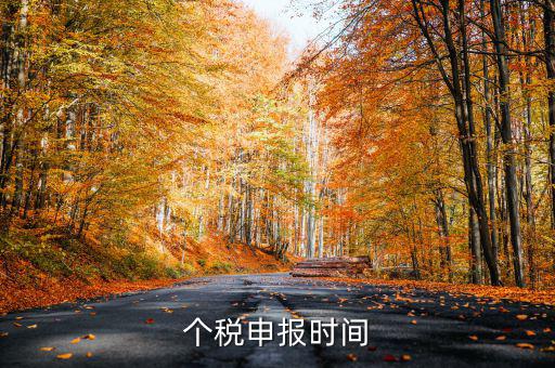 個人經(jīng)營所得稅什么時候申報，個人所得稅明細(xì)申報什么時候報