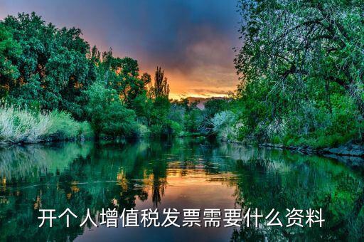 個(gè)人發(fā)票要帶什么資料，個(gè)人購物開增值稅普通發(fā)票需要什么資料