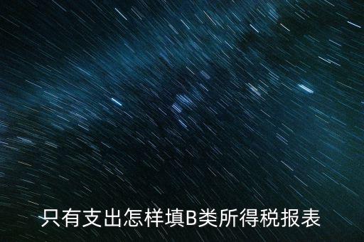 個(gè)人生產(chǎn)經(jīng)營所得B表稅金填什么，只有支出怎樣填B類所得稅報(bào)表
