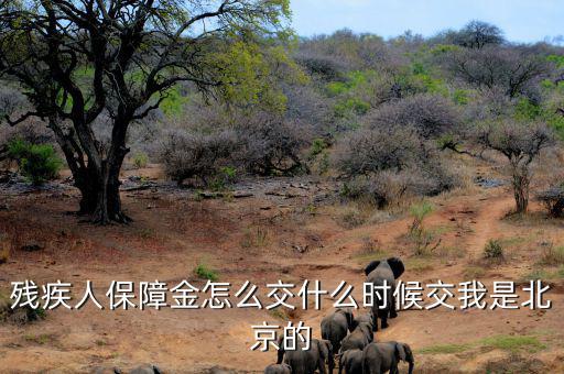 殘疾人保障金要求什么時(shí)候交，殘疾人保障金怎么交什么時(shí)候交我是北京的