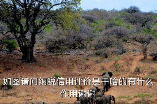 申請納稅信用復(fù)評需要什么資料，納稅信用評價(jià)的基本規(guī)范要求包括什么