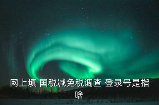 稅收調(diào)查網(wǎng)上是什么，網(wǎng)上填 國(guó)稅減免稅調(diào)查 登錄號(hào)是指啥