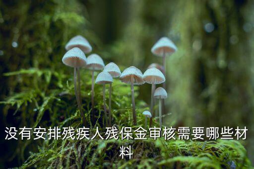 福建殘保金備案需要什么資料，求助2012年殘保金申請流程
