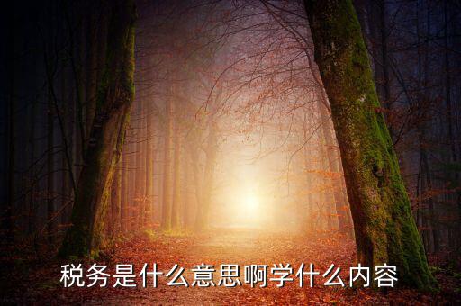 稅務(wù)中介是什么，稅務(wù)師事務(wù)所屬于什么行業(yè)