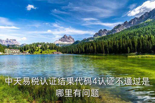 中天易稅認證結果代碼4認證不通過是哪里有問題